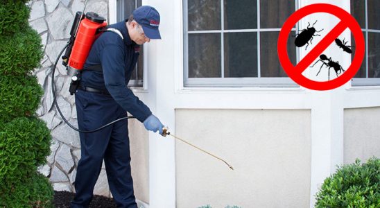 Bağlar Akrep İlaçlama böcek ilaçlama ve haşere kontrolü — ilaclama-tr.com